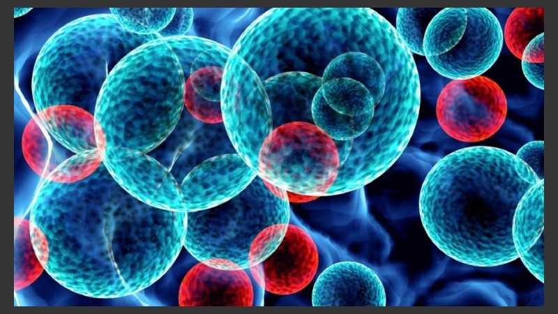 Se busca evitar la derivación de pacientes de la región a centros de referencia de Buenos Aires.