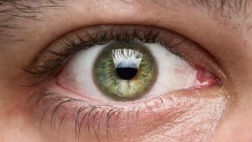 Hasta el momento, ningún tratamiento logra detener la progresión de la enfermedad llamada retinopatía de Stargardt.