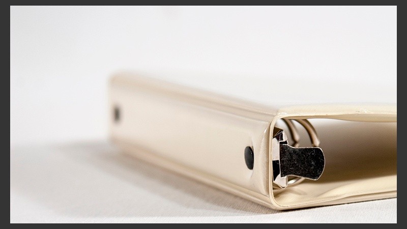 Las reuniones informativas están dirigidas a profesionales, docentes y directivos.