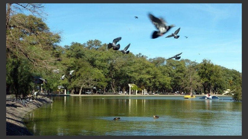 Martes para ir al parque Independencia.