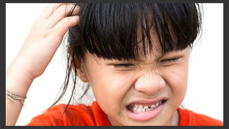 Tolosa explicó que el vinagre sólo ayuda a deslizar el peine por el cabello pero no mata a los piojos.