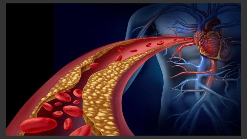 La droga se suministró a pacientes con niveles de presión y colesterol borderline.