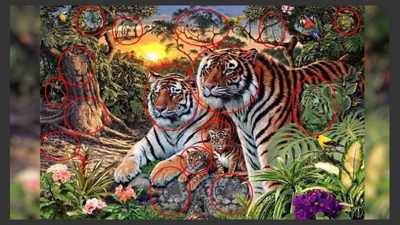 The Daily Mail señala 16 tigres. ¿Los habías encontrado?