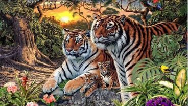 ¿Cuántos tigres ves?