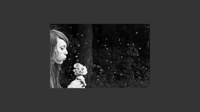 revistareplicante.com/soplar-un-diente-de-leon