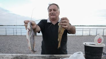 Un hombre asegura pescar todas las semanas y muestra sus trofeos. "Estos los hacemos fritos esta noche", dijo. (Alan Monzón/Rosario3.com)
