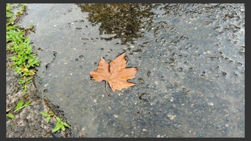 A la humedad y la lluvia, algo de frío y viento