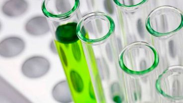 Destacados expertos en la materia expondrán y debatirán sus postulaciones en conferencias, foros y actividades participativas.