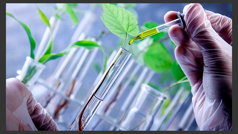 Los beneficiarios podrán ser estudiantes avanzados, profesionales recién recibidos y/o becarios.