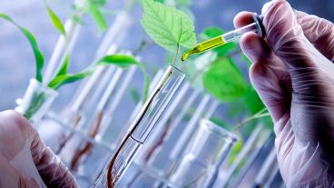 Los beneficiarios podrán ser estudiantes avanzados, profesionales recién recibidos y/o becarios.