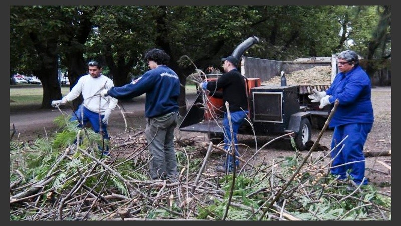 Se generan unas 90 toneladas de residuos verdes por día.