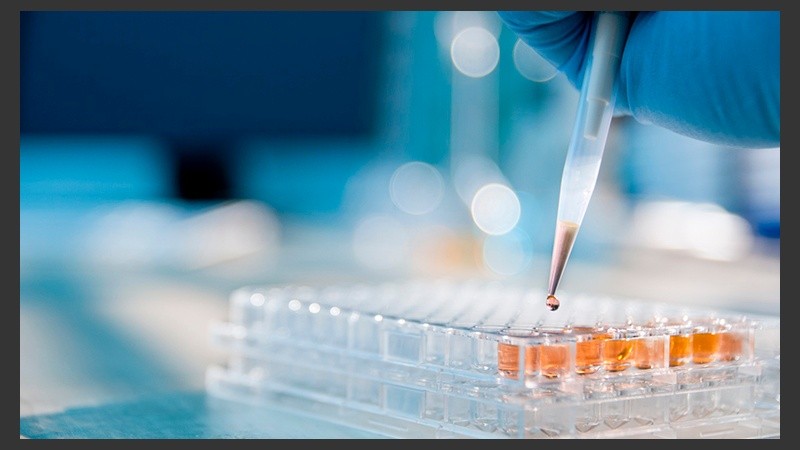 Las áreas son: Biotecnología Moderna, Sustentabilidad Energética e Innovación en la Industria Manufacturera.