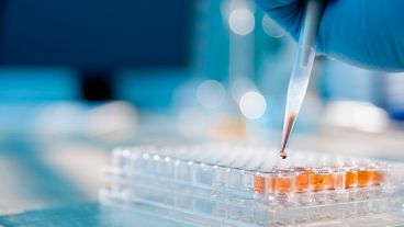 Las áreas son: Biotecnología Moderna, Sustentabilidad Energética e Innovación en la Industria Manufacturera.