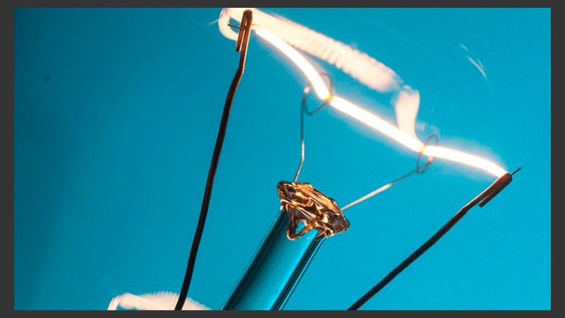 Gastón y Blas crearon 4 juegos: Vectorium, Joule Park, Ruta 40 y Termomundo.