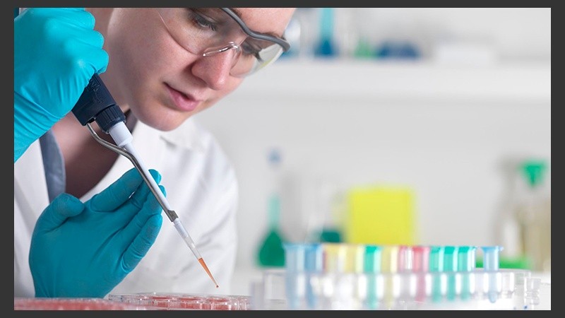 La iniciativa está dirigida a estudiantes universitarios de grado que deseen participar en un proyecto de investigación.