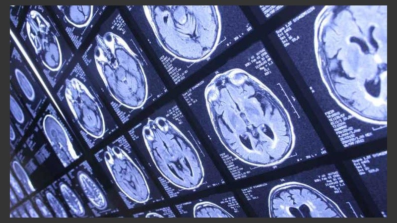 El laboratorio buscará promover la articulación entre la neurociencia y la educación.