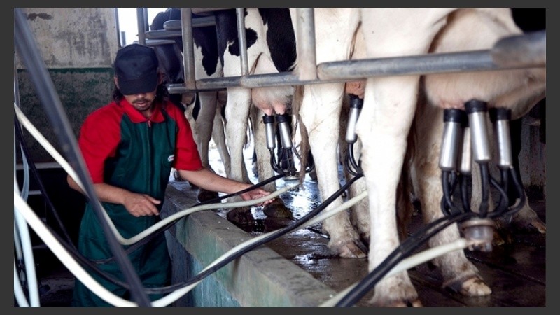 La crisis del sector “ha elevado el precio de la manteca”.