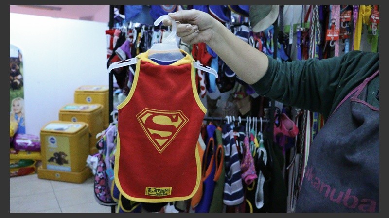 En las veterinarias y tiendas para mascotas conocidas como Pet Shop, se consiguen diferentes modelos. (Rosario3.com)