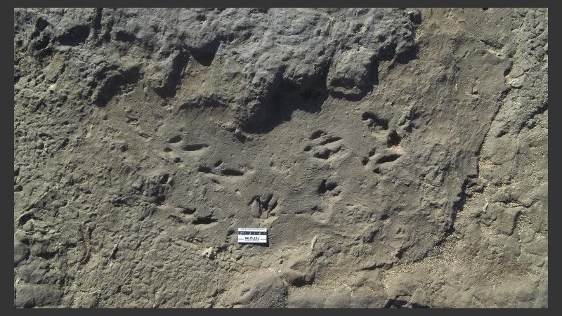 Las inéditas huellas encontradas en Miramar.
