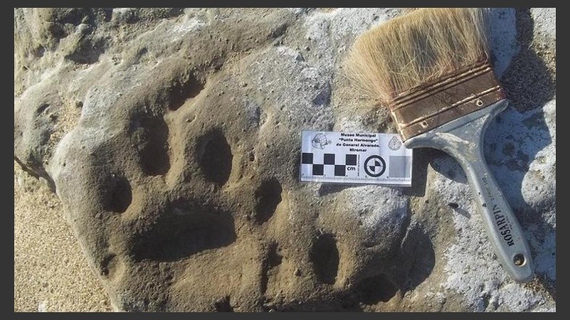 Los trabajos estuvieron a cargo de los profesionales del museo local. 