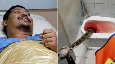 Mientras hospitalizaban a Attaporn, expertos liberaban a la serpiente del inodoro.