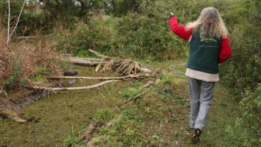 El predio cuenta con dos hectáreas y pertenecen a la Nación. El refugio recibe un aporte mínimo del municipio. (Alan Monzón/Rosario3.com)