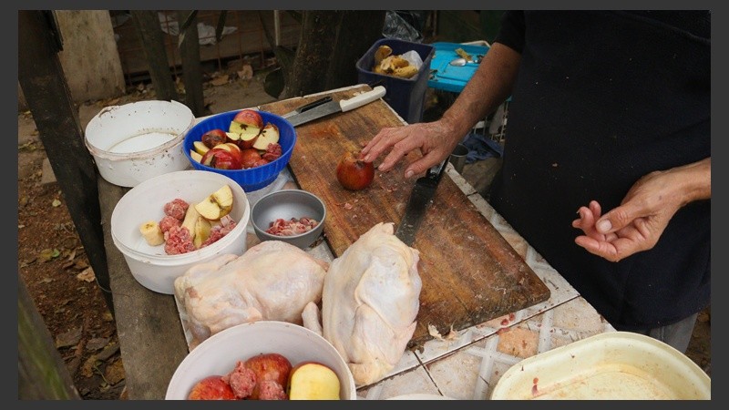 Preparativos para darle de comer a las aves de rapiña. (Alan Monzón/Rosario3.com)