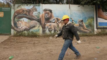 Un mural con animales en el ingreso al refugio en Sorrento al 1500. (Alan Monzón/Rosario3.com)