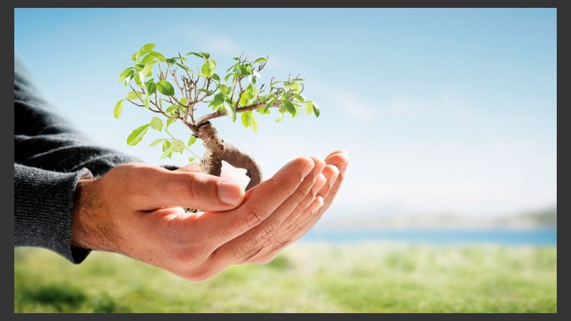 Las actividades se desarrollan hoy y mañana.