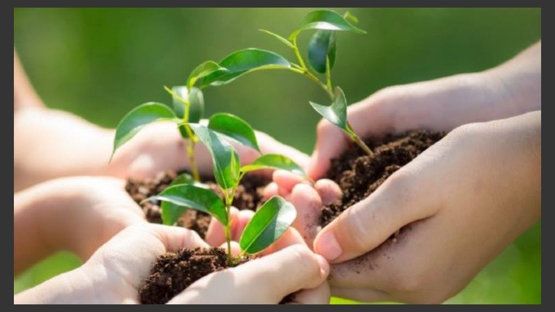 Plantar árboles, reciclar, controlar el consumo de agua y la producción de desechos; algunos consejos para cuidar el planeta.