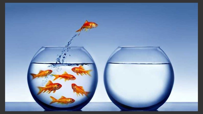 Este espacio permitirá generar información sobre dificultades y necesidades de los emprendedores locales.