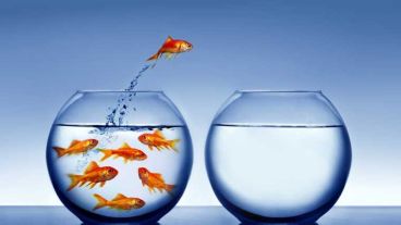 Este espacio permitirá generar información sobre dificultades y necesidades de los emprendedores locales.