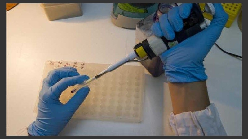 Este estudio muestra una supresión completa a largo plazo de toda la actividad inflamatoria.