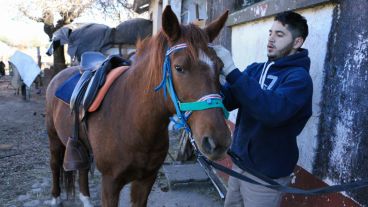 Marcos trabaja en el predio y es el encargado de mantener y cuidar a los animales que participan de las distintas actividades. (Alan Monzón/Rosario3.com)
