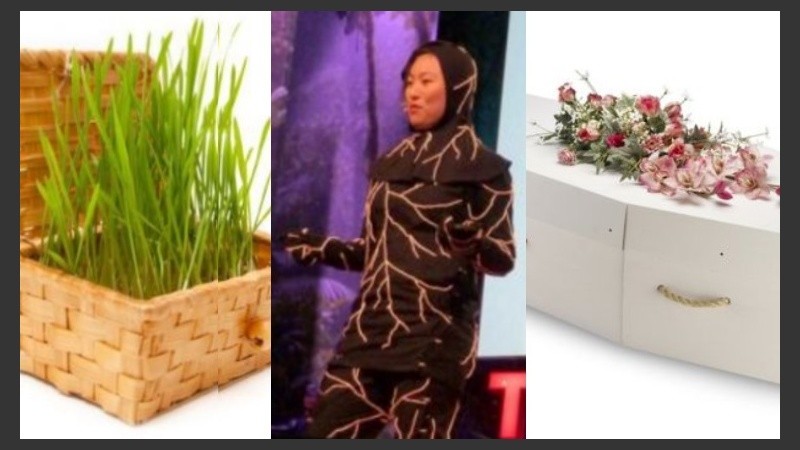 Distintas opciones a la hora de pensar en un entierro amigable con el medio ambiente.