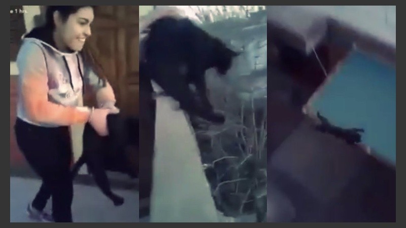 “Lo que hice fue horrible y no lo justifico