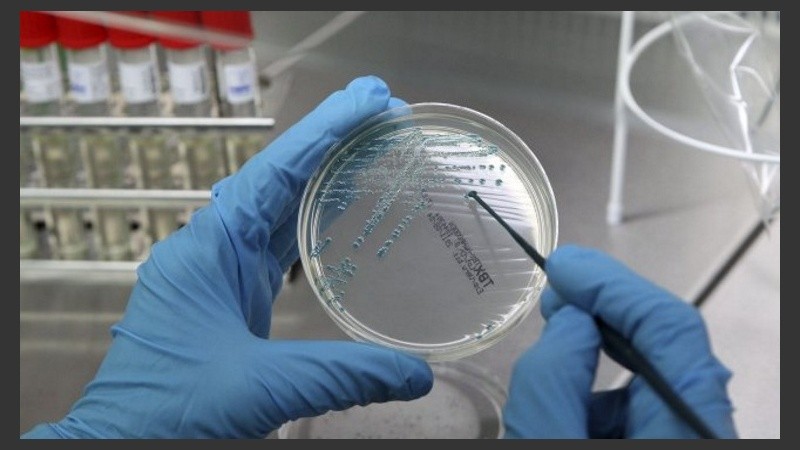 El cáncer de hígado primario es la segunda causa de muerte por cáncer en el mundo.