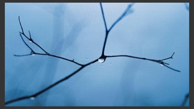 Cielo cubierto y alta humedad en Rosario. 