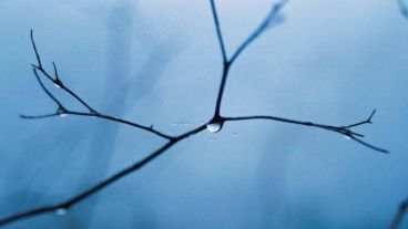 Cielo cubierto y alta humedad en Rosario.