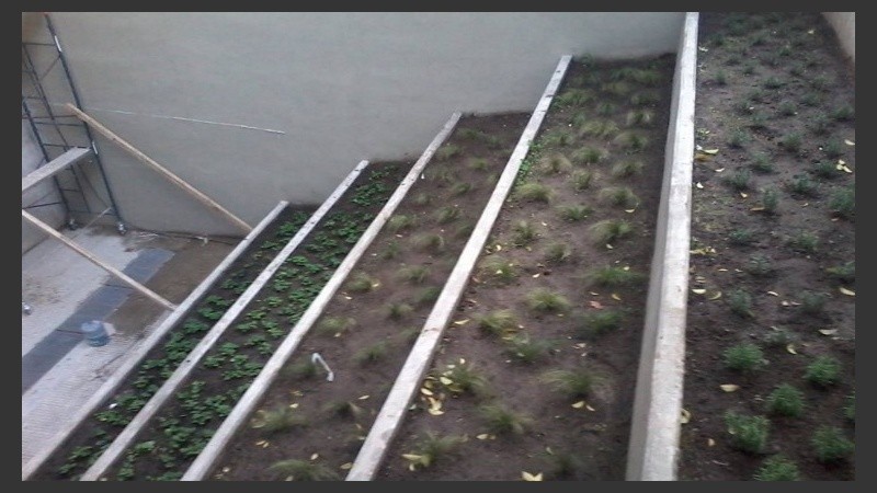 Sumarle verde a los edificios aporta beneficios mucho más que estéticos.