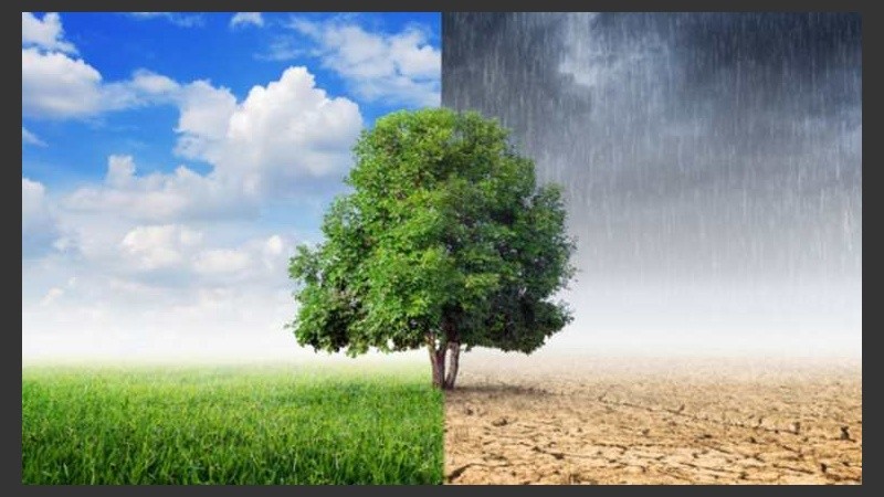 Las becas por alumno son de 9.000 pesos.