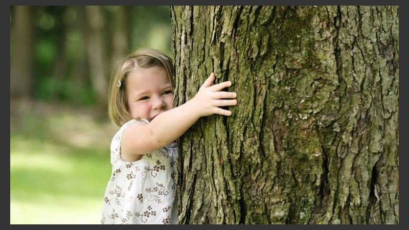 El mayor contacto con la naturaleza o espacios verdes reduce los niveles de estrés de los niños.