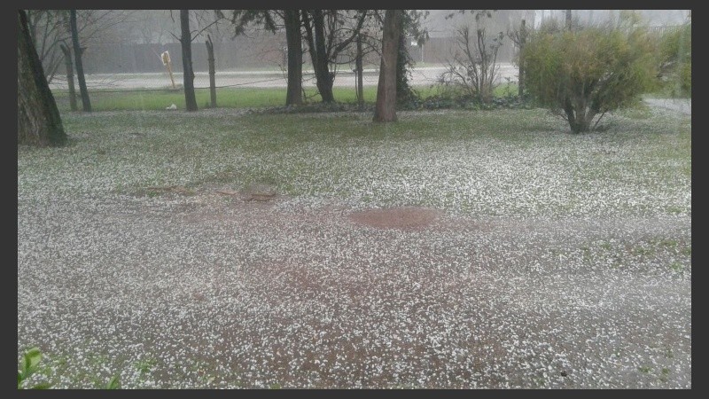 Suelo blanco como hacía tiempo no se veía en la ciudad.