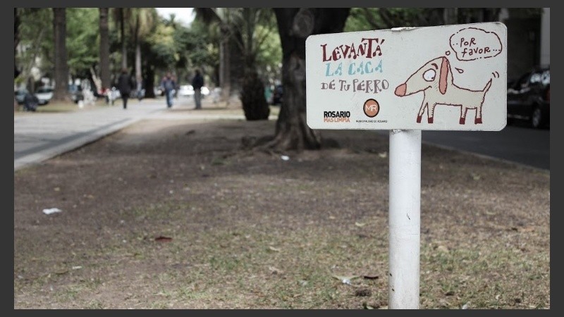 Los excrementos de mascotas en la vía pública es una de las quejas. 