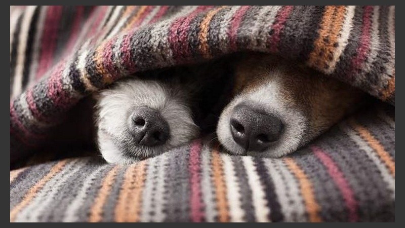 Difícil arrancar este viernes. 