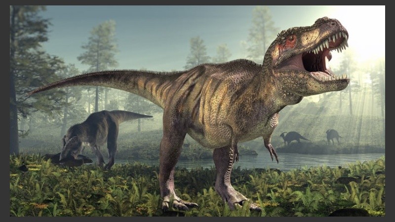 T. rex fue un carnívoro bípedo con un enorme cráneo equilibrado por una cola larga y pesada.