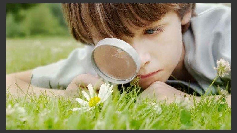 El libro propicia el trabajo individual y grupal, fomentando la participación activa por parte de los niños.