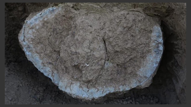 Los restos fueron trasladados a la Casa de la Cultura.