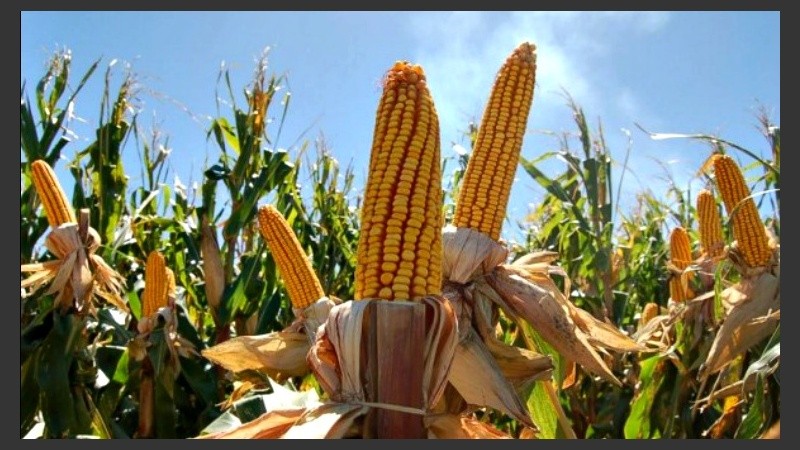 Contará con una docena de reconocidos consultores y referentes de empresas del sector.