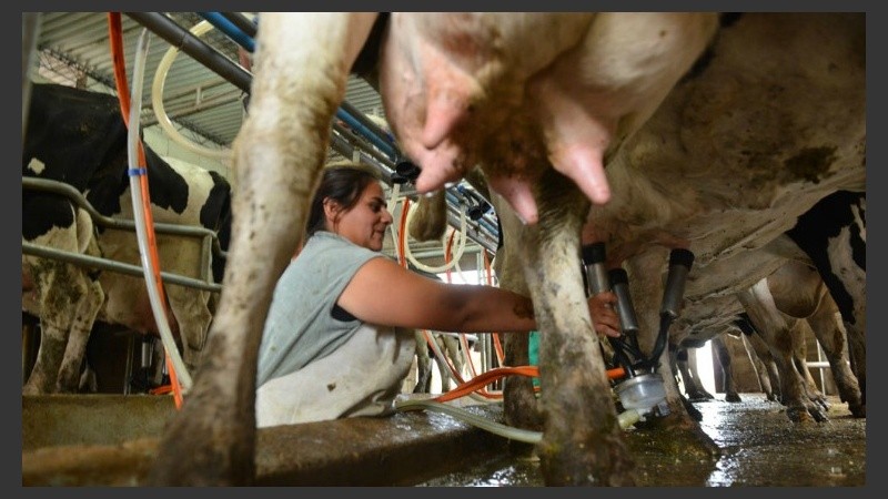 Estiman que estos resultados abrirán las puertas a futuros avances en la temática.